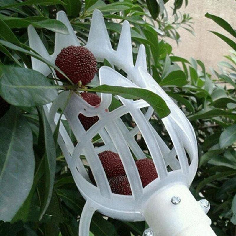 정원 바구니 과일 피커 헤드 멀티 컬러 플라스틱 과일 따기 도구 포수 농업 Bayberry 대추 따기 용품
